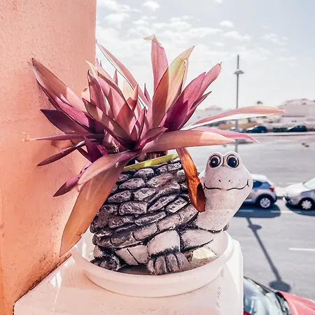 Apartamento Esmeralda Nani Planta1 Castillo Caleta de Fuste